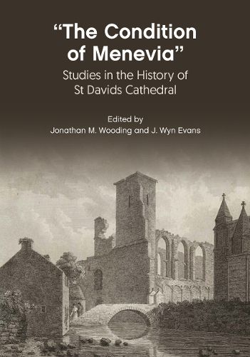 Cover image for "The Condition Of Menevia"