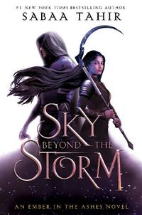 Cover image for A Sky Beyond the Storm