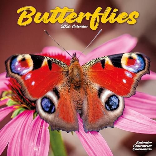 Cover image for Butterflies Calendar 2026 Square Butterfly Wall Calendar - 16 Month