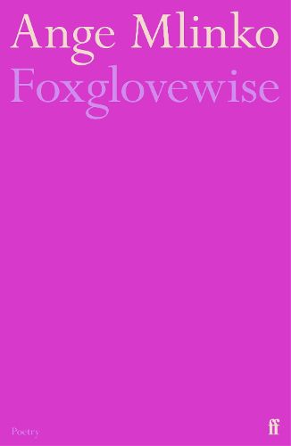 Foxglovewise