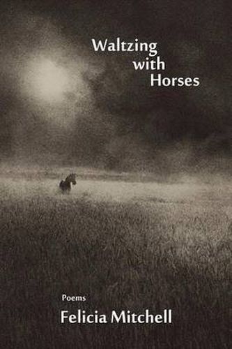 Cover image for Waltzing with Horses