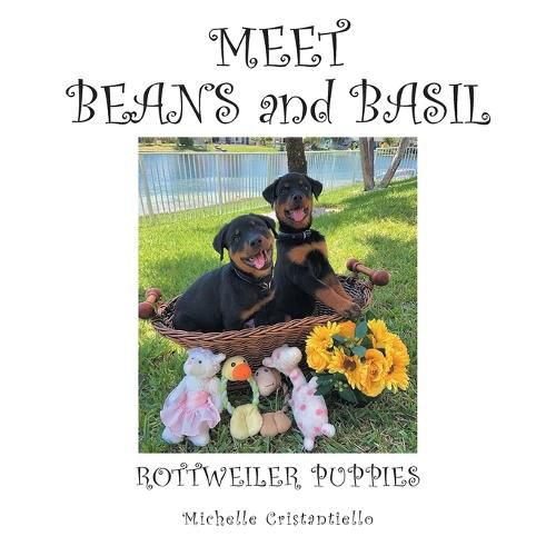 Cover image for Meet Beans and Basil