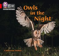 Cover image for Owls in the Night: Band 02b/Red B