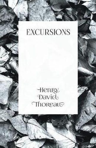 Cover image for Excursions