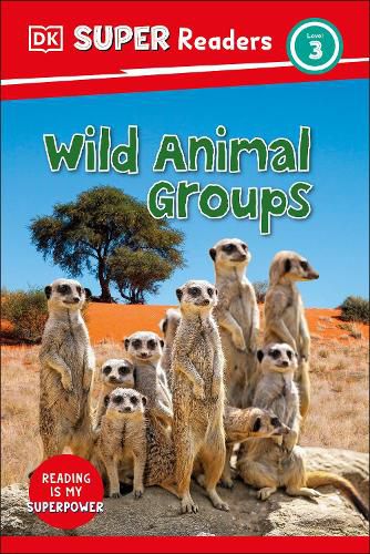 Cover image for DK Super Readers Level 3 Wild Animal Groups