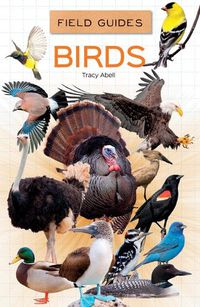 Cover image for Birds