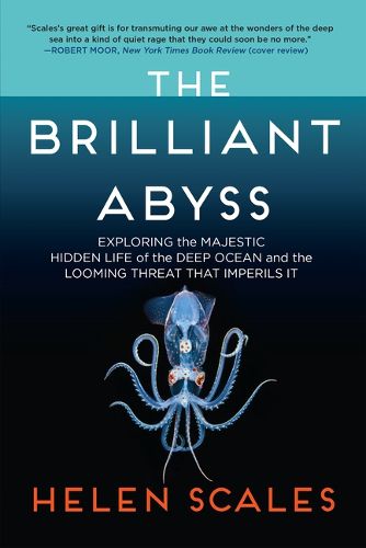 Cover image for The Brilliant Abyss: Exploring the Majestic Hidden Life of the Deep Ocean, and the Looming Threat That Imperils It