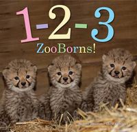 Cover image for 1-2-3 ZooBorns!