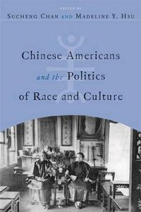 Cover image for Chinese Americans and the Politics of Race and Culture