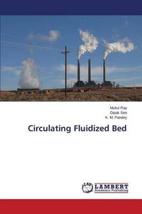 Cover image for Circulating Fluidized Bed