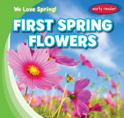 Cover image for First Spring Flowers