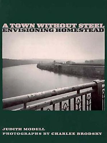 Cover image for A Town Without Steel: Envisioning Homestead