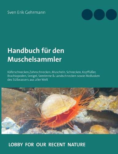 Cover image for Handbuch fur den Muschelsammler: Kaferschnecken, Zahnschnecken, Muscheln, Schnecken, Kopffusser, Brachiopoden, Seeigel, Seesterne & Landschnecken sowie Mollusken des Susswassers aus aller Welt