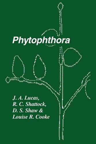 Cover image for Phytophthora: Symposium of the British Mycological Society, the British Society for Plant Pathology and the Society of Irish Plant Pathologists Held at Trinity College, Dublin September 1989