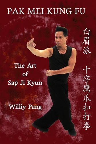 Cover image for Pak Mei Kung Fu