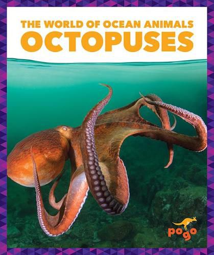 Cover image for Octopuses