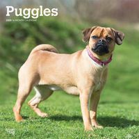 Cover image for Puggles 2020 Square Wall Calendar