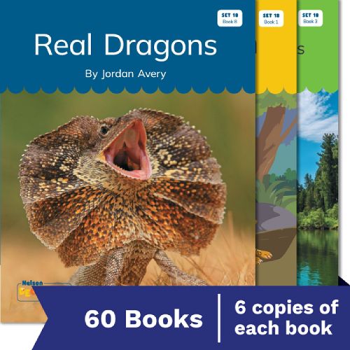 Cover image for Nelson Decodable Readers Set 18 Syllable Division Small Group Pack X 60