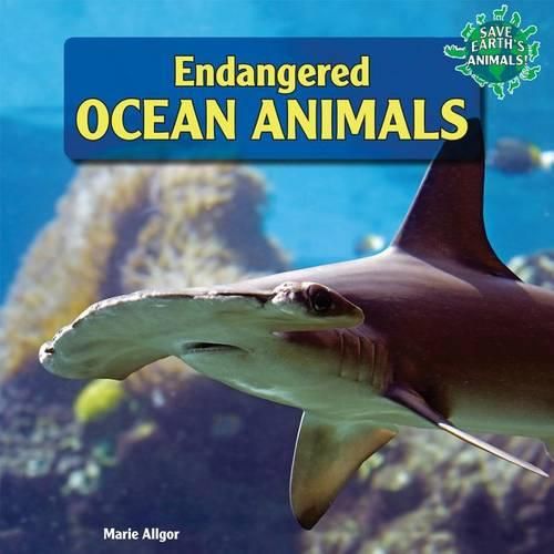 Cover image for Endangered Ocean Animals