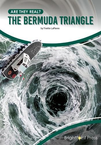 Cover image for The Bermuda Triangle