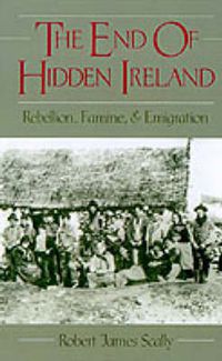 Cover image for The End of Hidden Ireland: Rebellion, Famine and Emigration