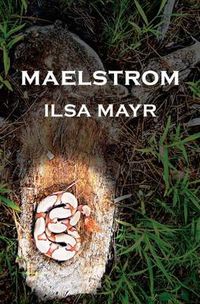 Cover image for Maelstrom