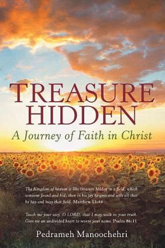 Cover image for Treasure Hidden: A Journey of Faith in Christ