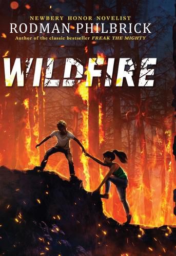 Cover image for Wildfire