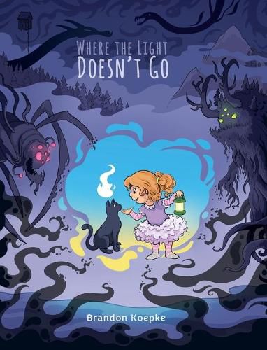 Cover image for Where the Light Doesn't Go