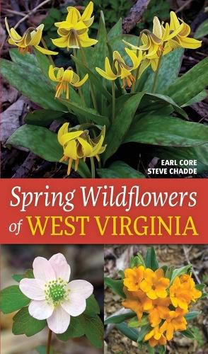 Cover image for Spring Wildflowers of West Virginia