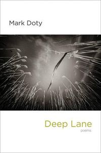 Cover image for Deep Lane: Poems