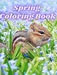 Cover image for Spring Coloring Book