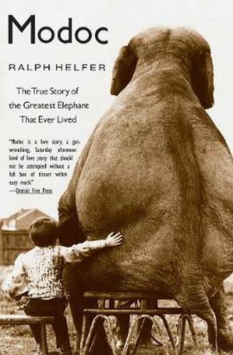 Cover image for Modoc: The True Story of the Greatest Elephant That Ever Lived