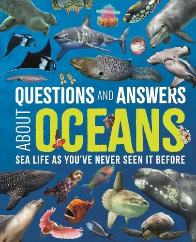 Cover image for Questions and Answers about Oceans