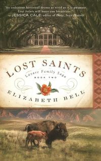 Cover image for Lost Saints