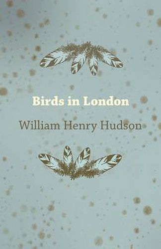 Birds in London