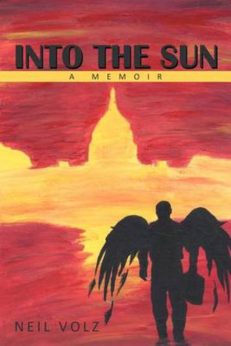 Cover image for Into the Sun