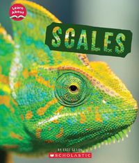 Cover image for Scales (Learn About: Animal Coverings)