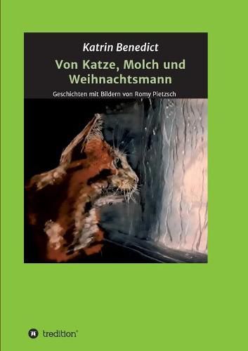 Cover image for Von Katze, Molch und Weihnachtsmann: Geschichten mit Bildern von Romy Pietzsch