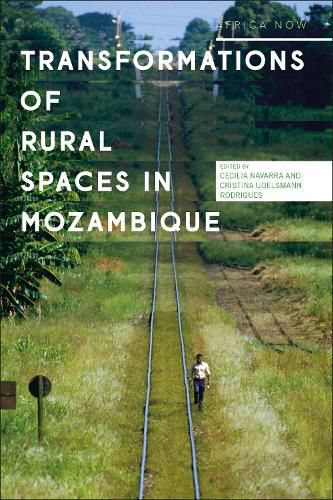 Cover image for Transformations of Rural Spaces in Mozambique