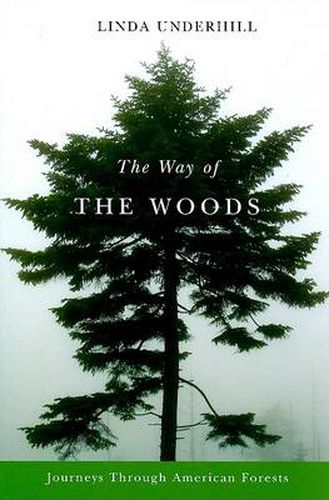 Cover image for The Way of the Woods: Journeys Through American Forests