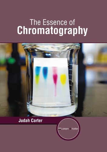 Cover image for The Essence of Chromatography