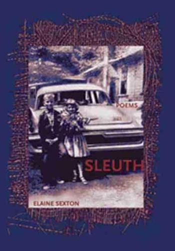 Cover image for Sleuth