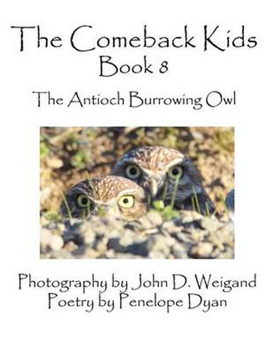 Cover image for The Comeback Kids, Book 8, The Antioch Burrowing Owls