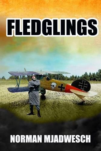 Cover image for Fledglings