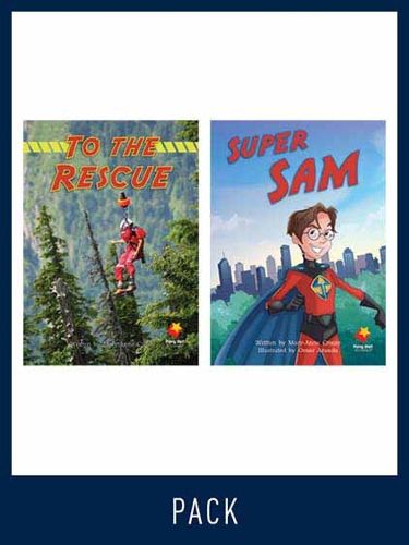 Cover image for Flying Start Guided Reading Level 17, Pack 1: Paired student books (6x6) and lesson plan (1)