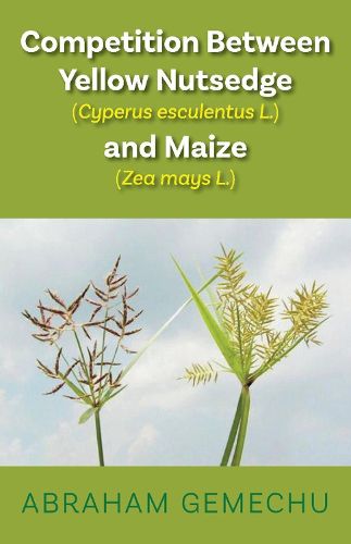 Cover image for Competition Between Yellow Nutsedge(Cyperus esculentus L) & Maize (Zea mays)