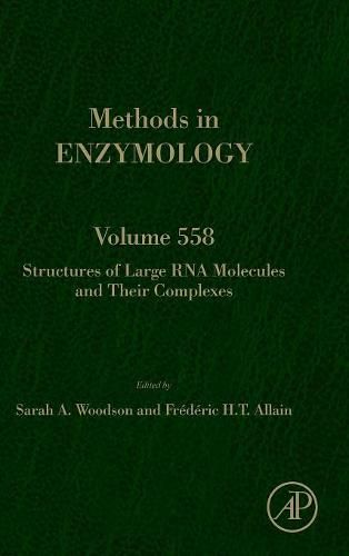 Cover image for Structures of Large RNA Molecules and Their Complexes