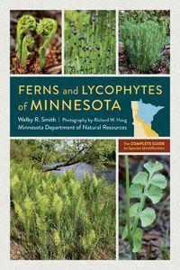 Cover image for Ferns and Lycophytes of Minnesota