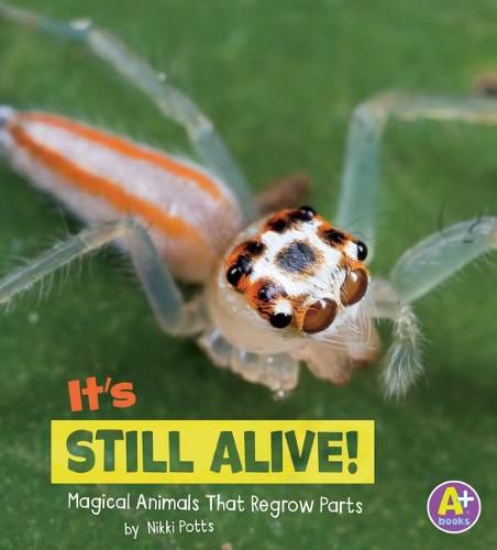 Cover image for its Still Alive!: Magical Animals That Regrow Parts (Magical Animals)